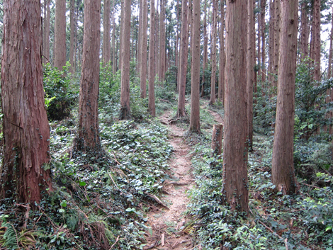 20191017hike (73)